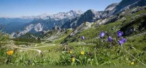 Alleinerziehende-Garmisch