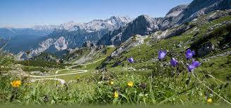 Alleinerziehende-Garmisch