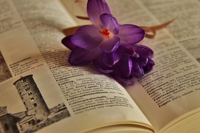 Die besten Bücher für Alleinerziehende